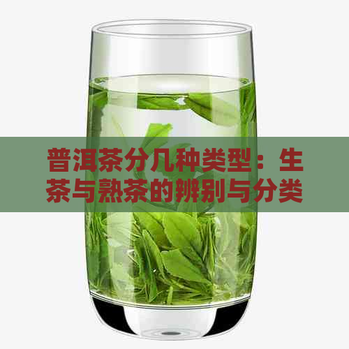 普洱茶分几种类型：生茶与熟茶的辨别与分类