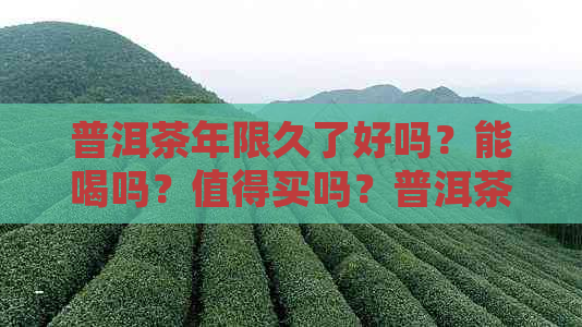 普洱茶年限久了好吗？能喝吗？值得买吗？普洱茶有年限吗？