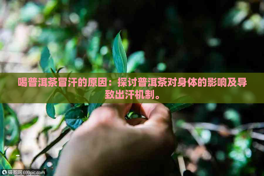 喝普洱茶冒汗的原因：探讨普洱茶对身体的影响及导致出汗机制。