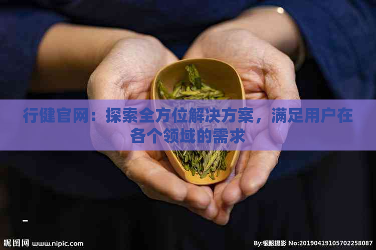 行健官网：探索全方位解决方案，满足用户在各个领域的需求