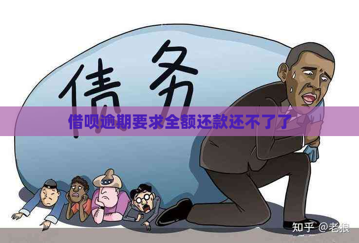 借呗逾期要求全额还款还不了了