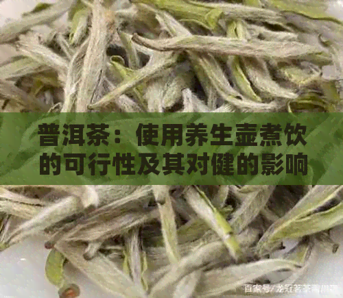 普洱茶：使用养生壶煮饮的可行性及其对健的影响