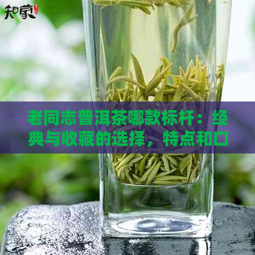 老同志普洱茶哪款标杆：经典与收藏的选择，特点和口感解析