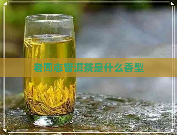 老同志普洱茶是什么香型