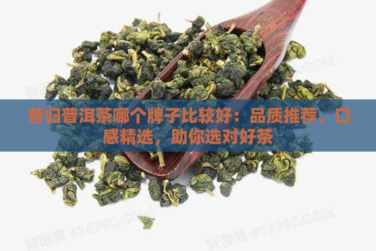 昔归普洱茶哪个牌子比较好：品质推荐，口感精选，助你选对好茶