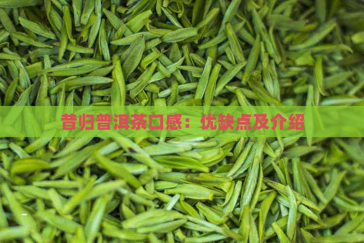 昔归普洱茶口感：优缺点及介绍