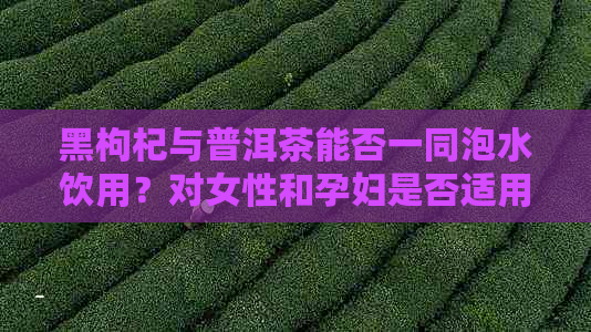 黑枸杞与普洱茶能否一同泡水饮用？对女性和孕妇是否适用？