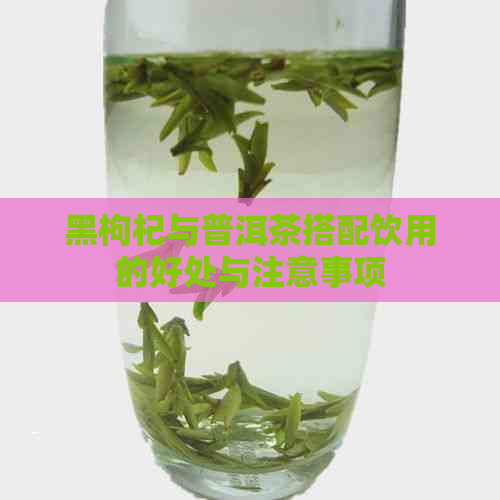 黑枸杞与普洱茶搭配饮用的好处与注意事项