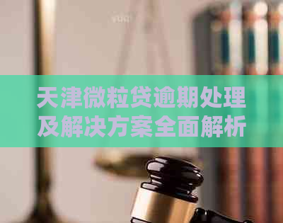 天津微粒贷逾期处理及解决方案全面解析：如何进行还款和期申请？