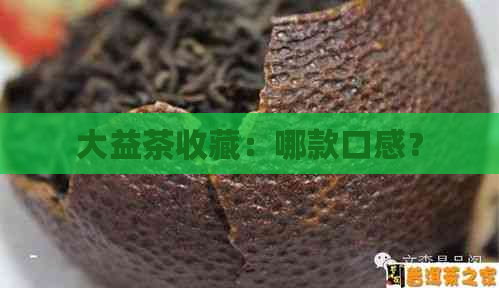 大益茶收藏：哪款口感？