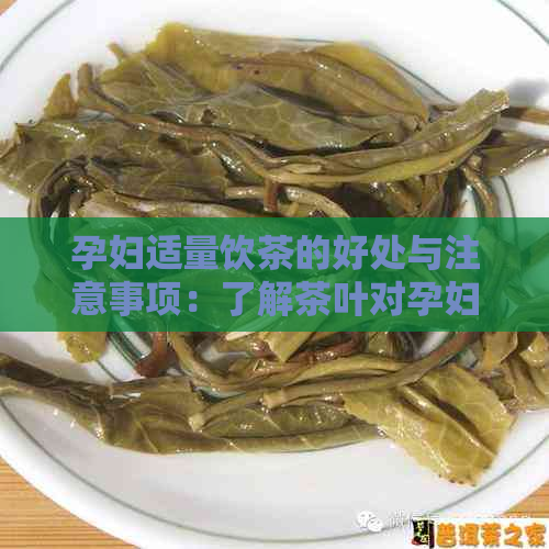 孕妇适量饮茶的好处与注意事项：了解茶叶对孕妇的影响及合适的饮用方式