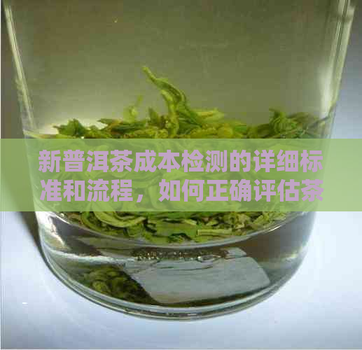 新普洱茶成本检测的详细标准和流程，如何正确评估茶叶价值？