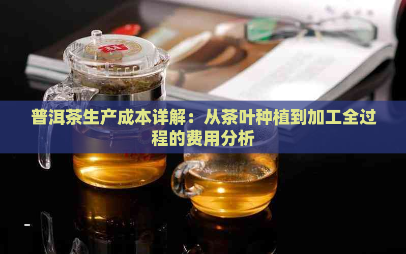 普洱茶生产成本详解：从茶叶种植到加工全过程的费用分析