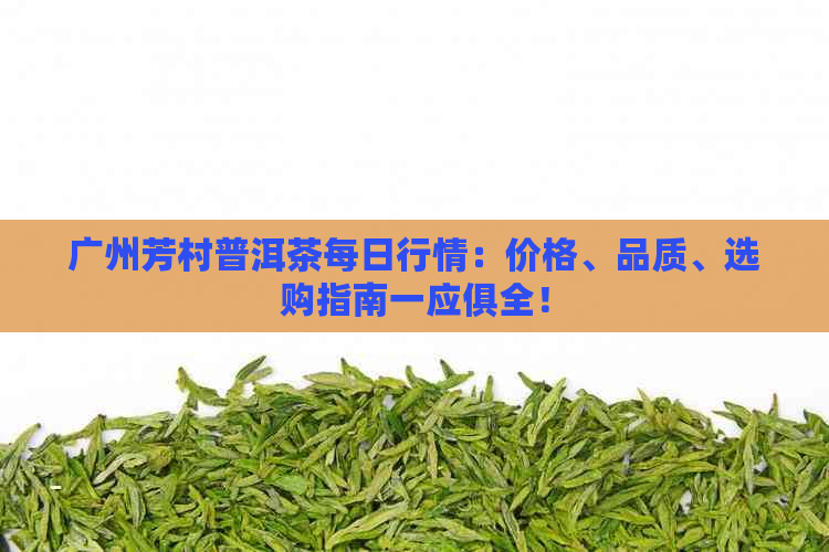 广州芳村普洱茶每日行情：价格、品质、选购指南一应俱全！