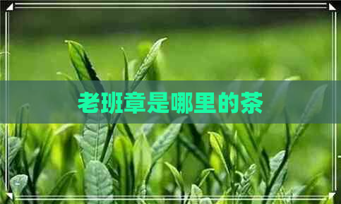 老班章是哪里的茶