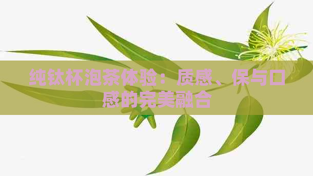 纯钛杯泡茶体验：质感、保与口感的完美融合