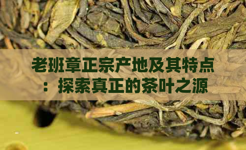 老班章正宗产地及其特点：探索真正的茶叶之源