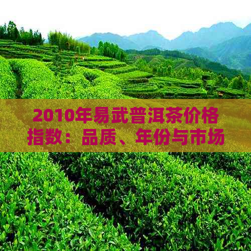 2010年易武普洱茶价格指数：品质、年份与市场走势分析