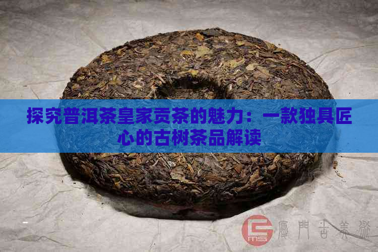 探究普洱茶皇家贡茶的魅力：一款独具匠心的古树茶品解读