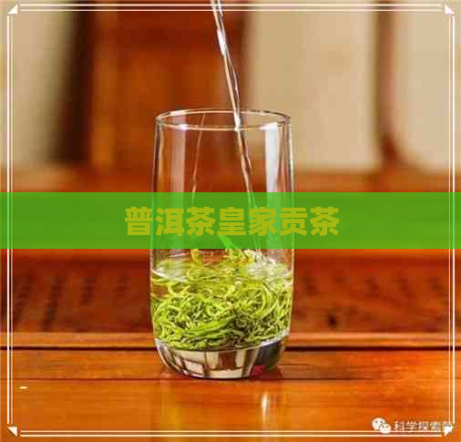 普洱茶皇家贡茶