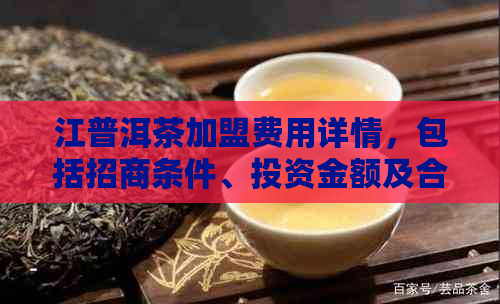 江普洱茶加盟费用详情，包括招商条件、投资金额及合作模式等全面解析