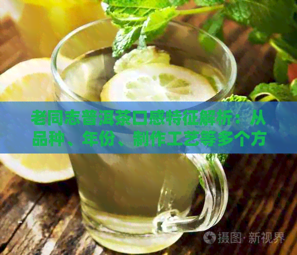 老同志普洱茶口感特征解析：从品种、年份、制作工艺等多个方面全面了解