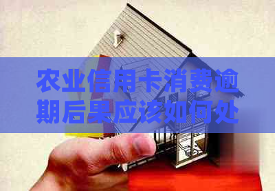 农业信用卡消费逾期后果应该如何处理