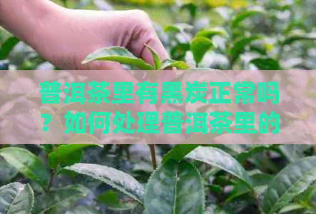 普洱茶里有黑炭正常吗？如何处理普洱茶里的黑色物质？