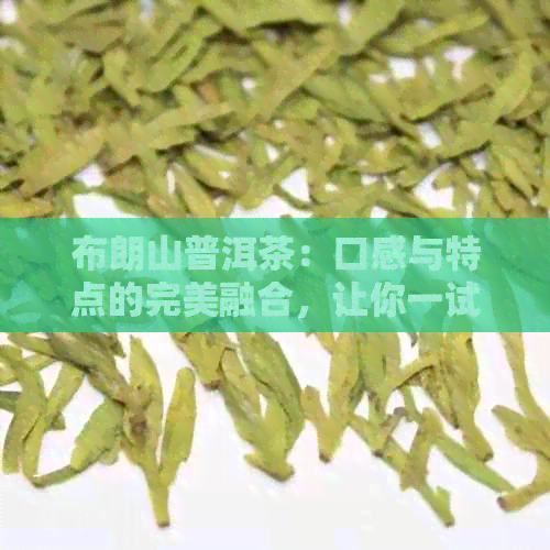 布朗山普洱茶：口感与特点的完美融合，让你一试难忘