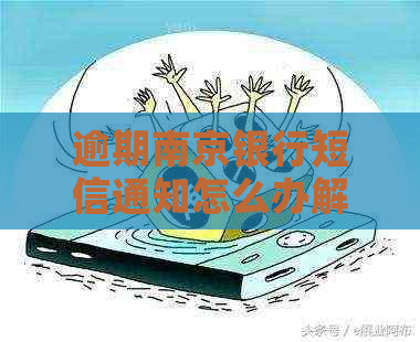 逾期南京银行短信通知怎么办解决方法