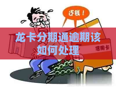 龙卡分期通逾期该如何处理