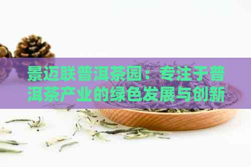 景迈联普洱茶园：专注于普洱茶产业的绿色发展与创新