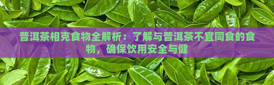 普洱茶相克食物全解析：了解与普洱茶不宜同食的食物，确保饮用安全与健