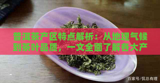 普洱茶产区特点解析：从地理气候到茶叶品质，一文全面了解各大产区的魅力