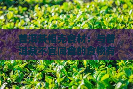 普洱茶相克食材：与普洱茶不宜同食的食物有哪些？