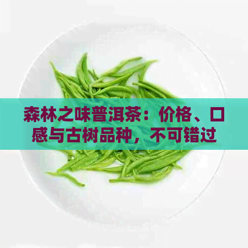 森林之味普洱茶：价格、口感与古树品种，不可错过的森之馈普洱茶！