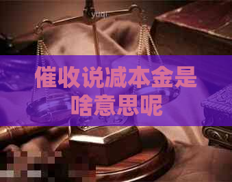 说减本金是啥意思呢