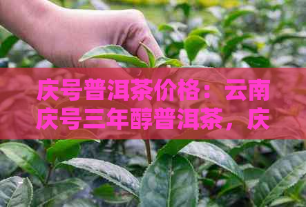 庆号普洱茶价格：云南庆号三年醇普洱茶，庆阳普洱茶体验分享