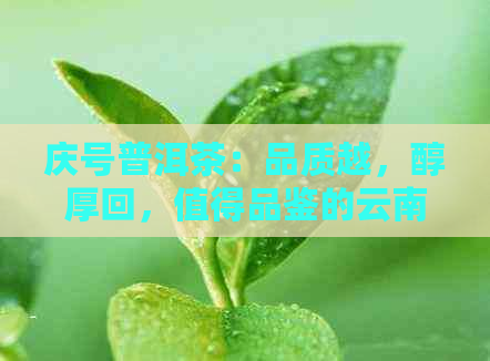 庆号普洱茶：品质越，醇厚回，值得品鉴的云南名茶