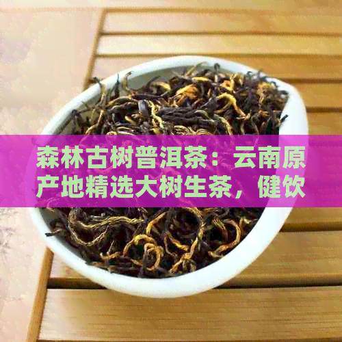 森林古树普洱茶：云南原产地精选大树生茶，健饮品尽在商城！