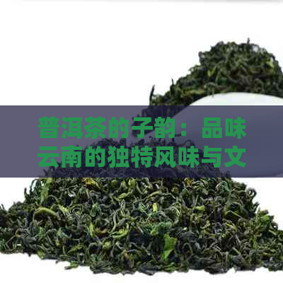 普洱茶的子韵：品味云南的独特风味与文化底蕴