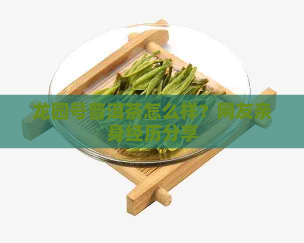 龙园号普洱茶怎么样？网友亲身经历分享