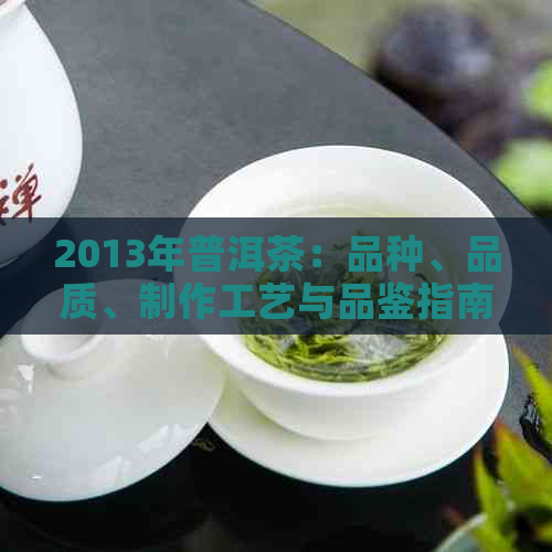 2013年普洱茶：品种、品质、制作工艺与品鉴指南，一篇全面解析