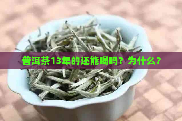 普洱茶13年的还能喝吗？为什么？