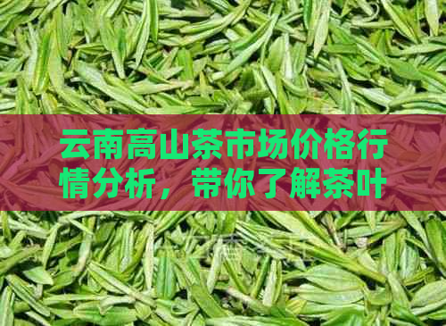 云南高山茶市场价格行情分析，带你了解茶叶价值！