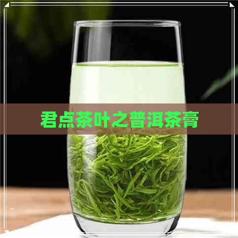 君点茶叶之普洱茶膏