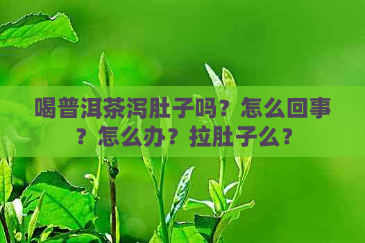 喝普洱茶泻肚子吗？怎么回事？怎么办？拉肚子么？