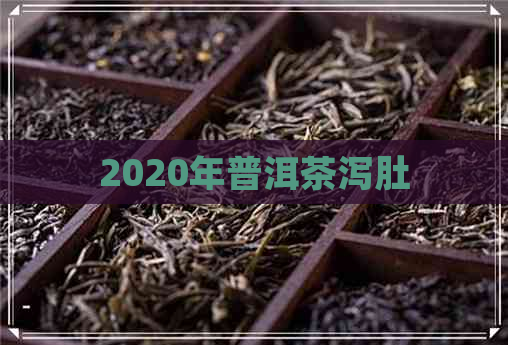 2020年普洱茶泻肚