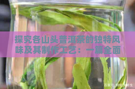 探究各山头普洱茶的独特风味及其制作工艺：一篇全面解析