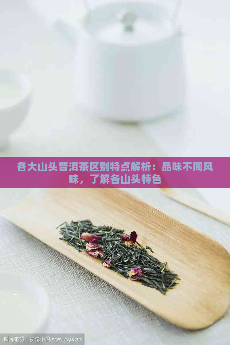 各大山头普洱茶区别特点解析：品味不同风味，了解各山头特色